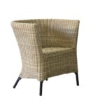 Bron Occasional Chair - Image 3